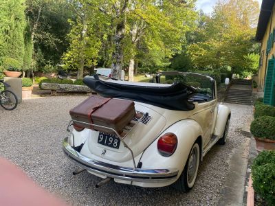 VW MAGGIOLONE CABRIOLET -NOLEGGIO AUTO D’EPOCA TOSCANA – FIRENZE – PISA – SIENA - CHIANTI